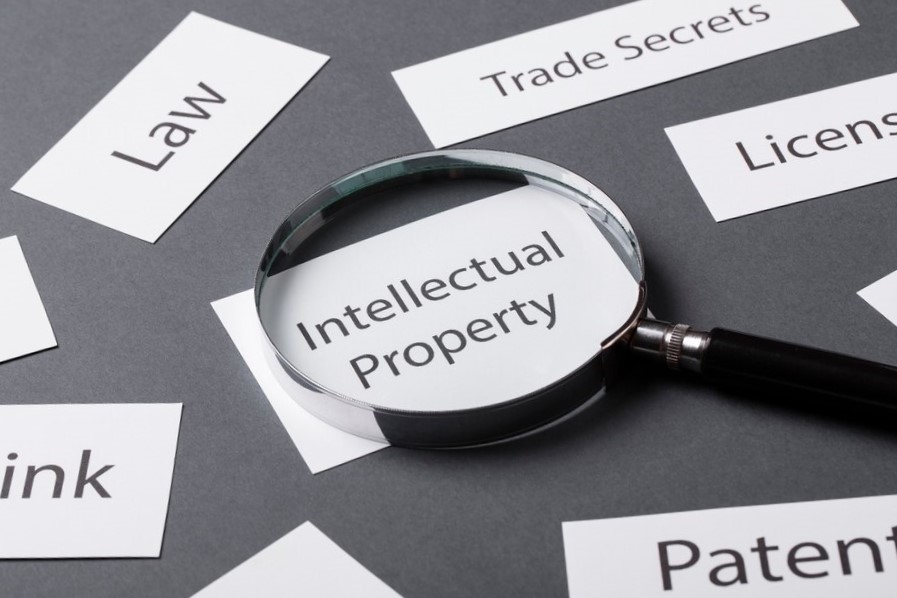 informe de patentabilidad-palabras